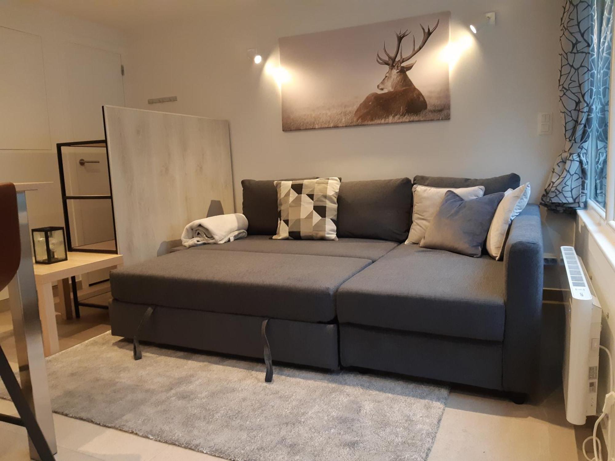 Terrasses De Malmedy F&L Triplex 214 Et Studio 320 Et 317 Et Studio Superieur 340 Стая снимка